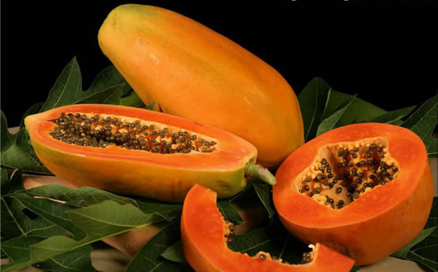 La papaya